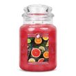 Ароматическая соевая двухфитильная свечка Goose Creek Grapefruit Mandarin 150 часов