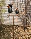 Садовий декор Ворони на штекері Сampo 21,5x13,5xH130cm Німеччина