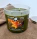 Ароматична соєва свічка Goose Creek Lovely Leaves на 3 фітилі 35+ годин
