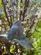 Подвесная садовая птичка-кормушка Exner 10,5x8x10,9 cm Германия