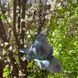 Підвісна садова пташка-годівниця Exner 10,5x8x10,9 cm Германия