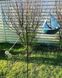Садовий вітрячок Campo Човник 77x5xH28см + палка 110см Німеччина